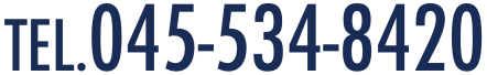 045-534-8420