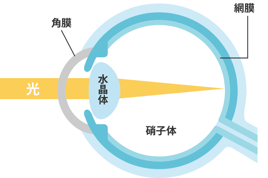 正常